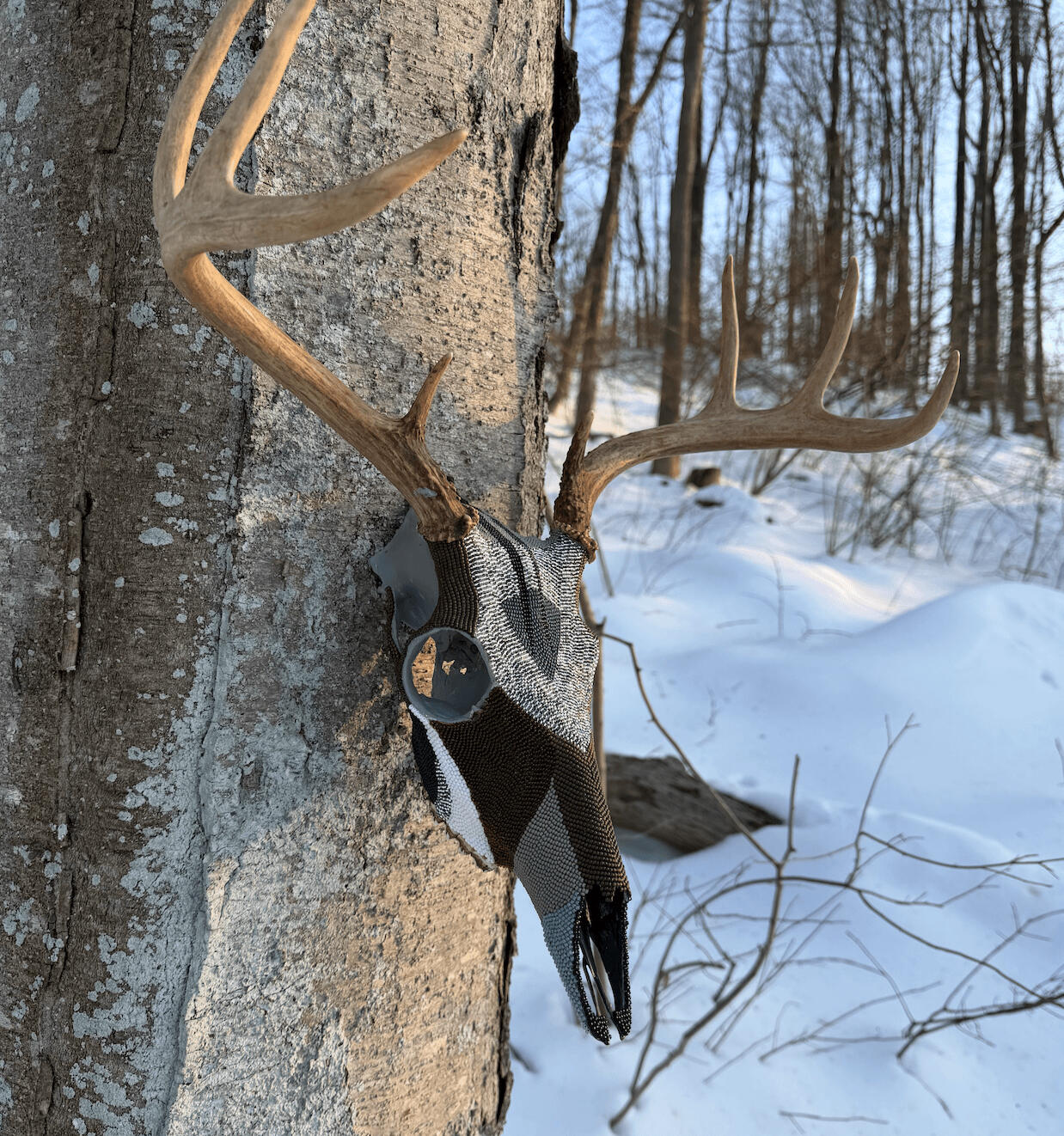 Pintail (Duck Design)