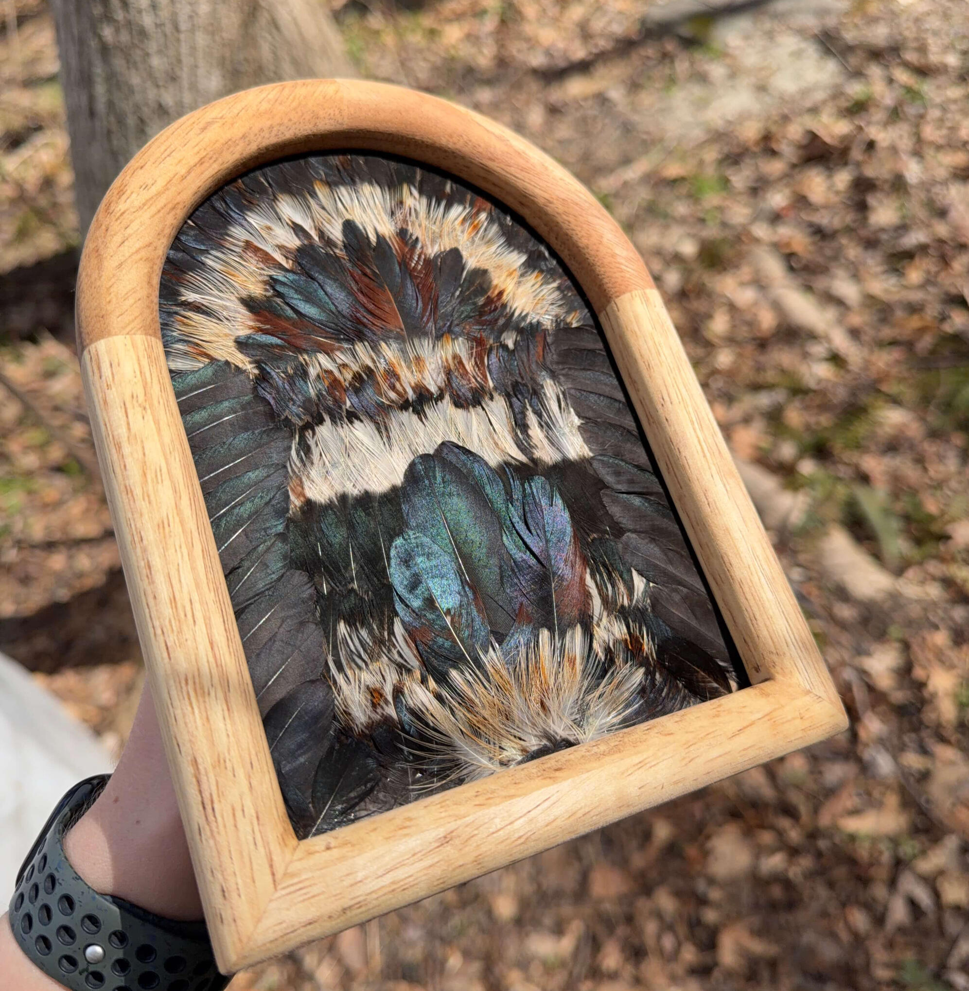 Mini frames, available for any bird