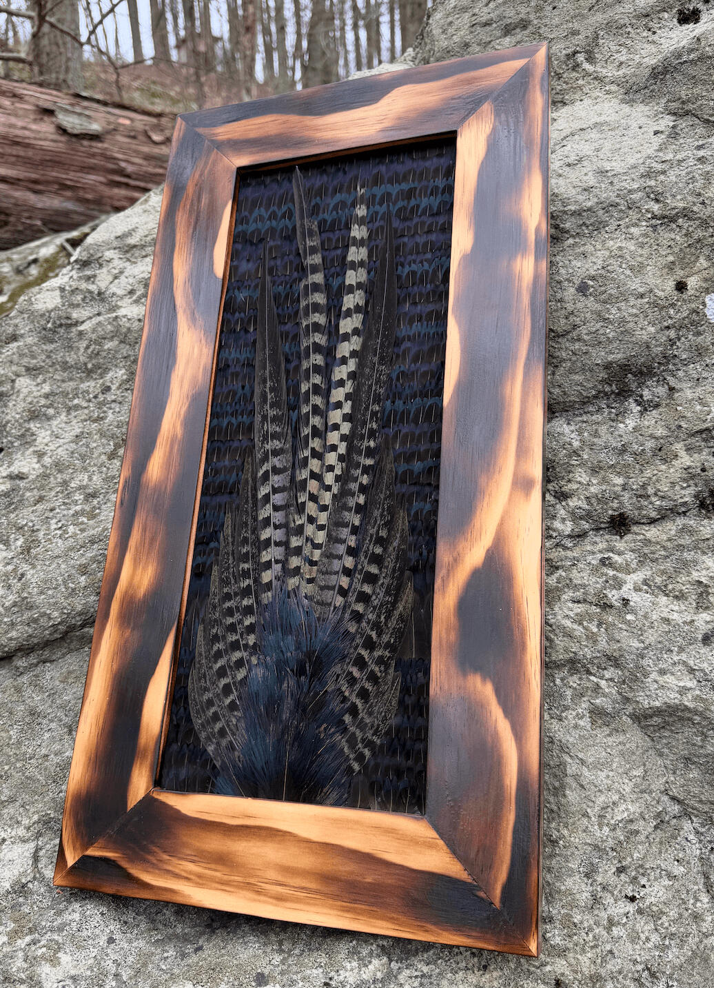 Melanistic Pheasant, Burnt Oak Frame